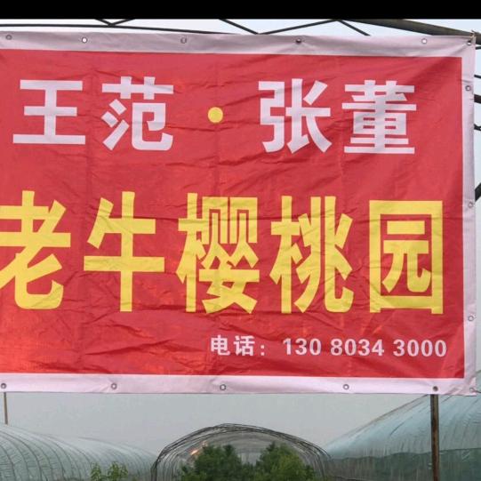 老牛樱桃，冬枣