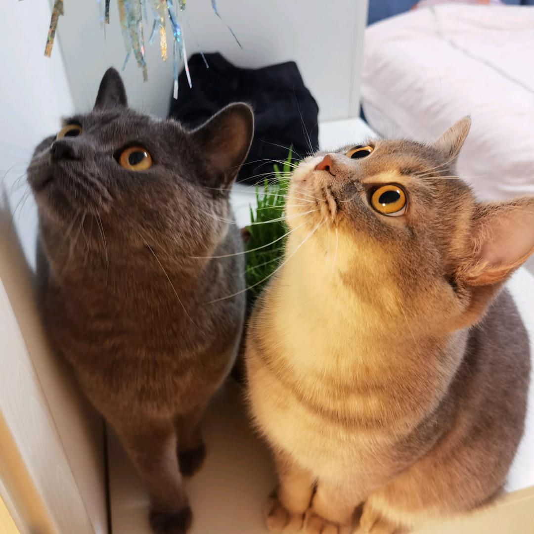 🌈零零柒