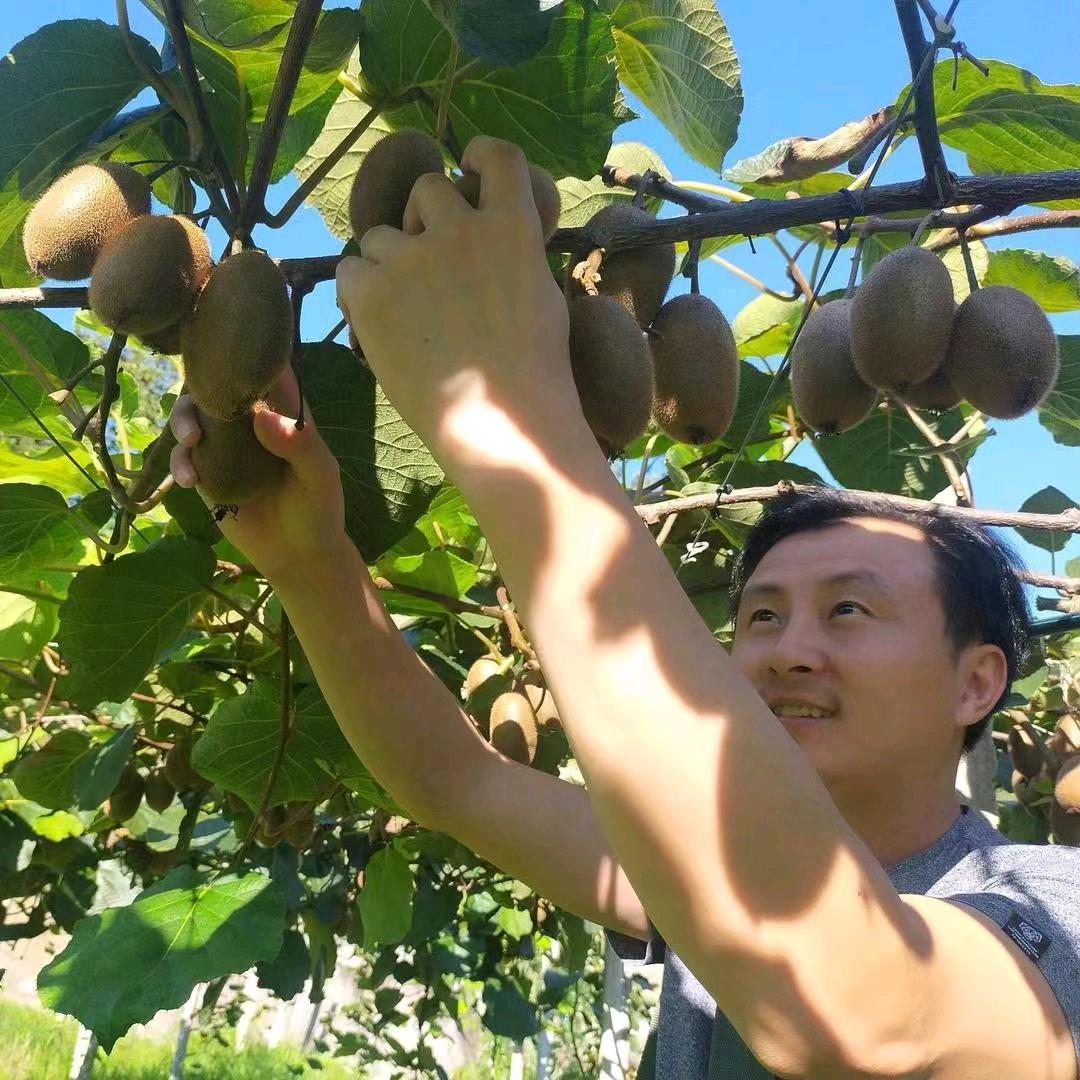 线上人家产地水果臻选店
