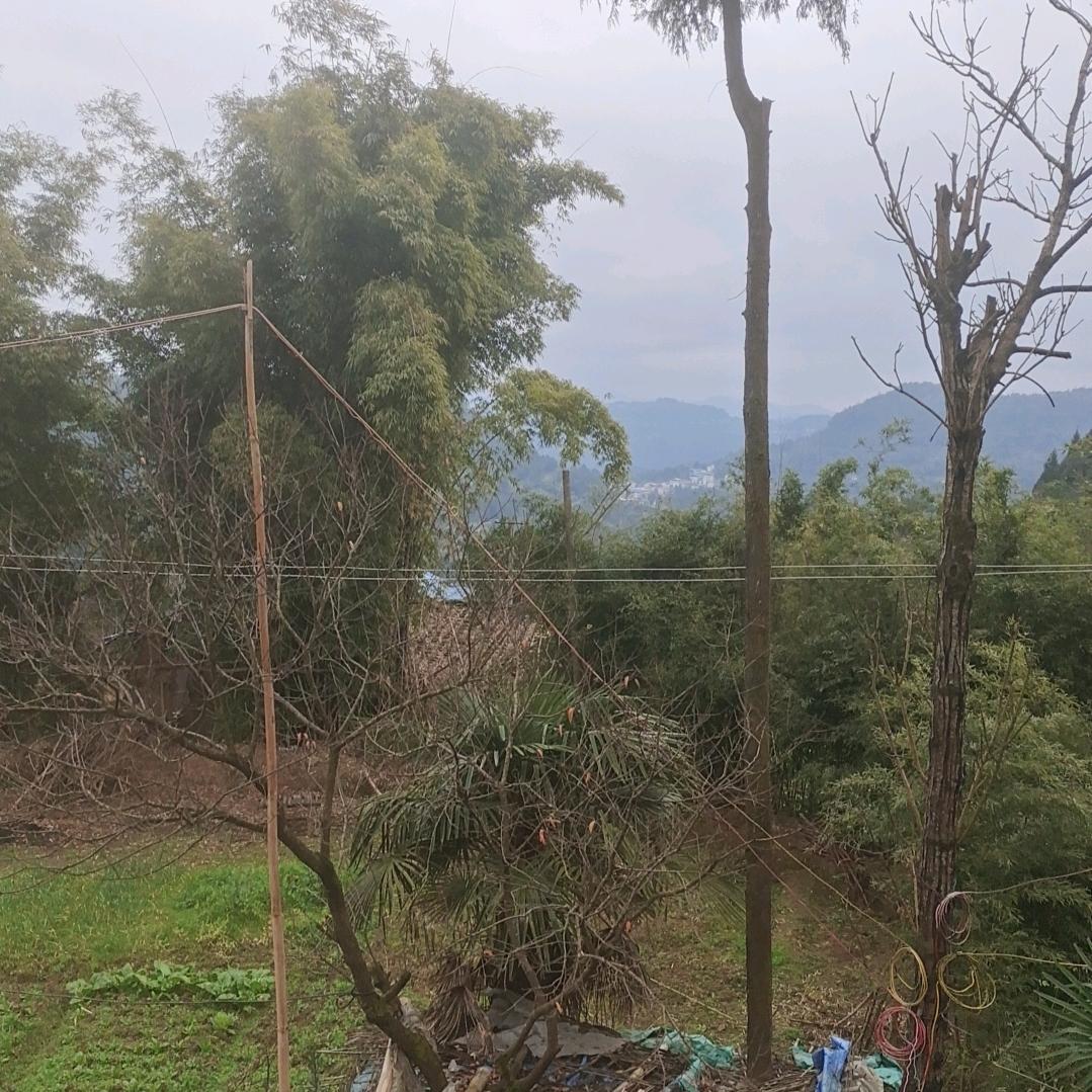 川独自一人喝醉