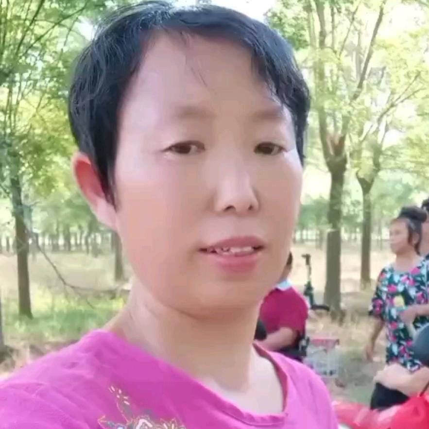 小桐桐