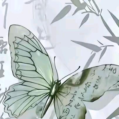 ♋春风蝴蝶🦋🦋🦋🦋🦋🦋🦋