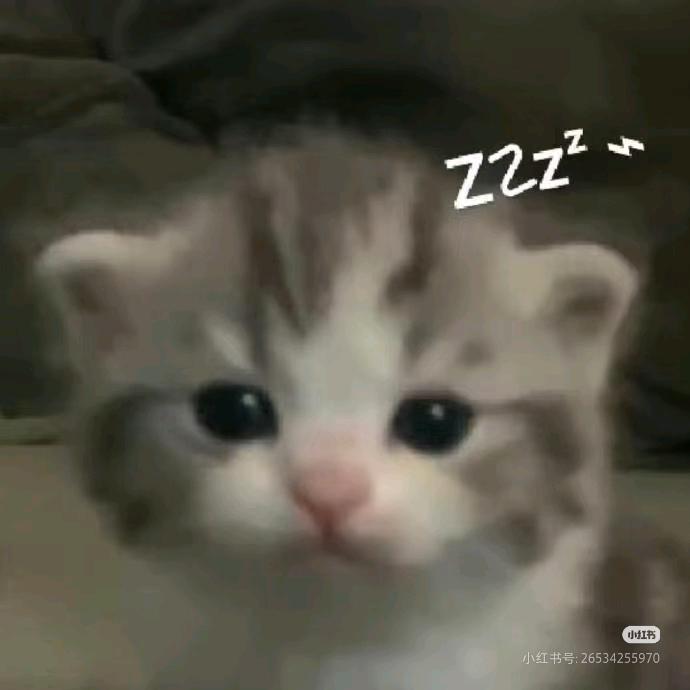 린린