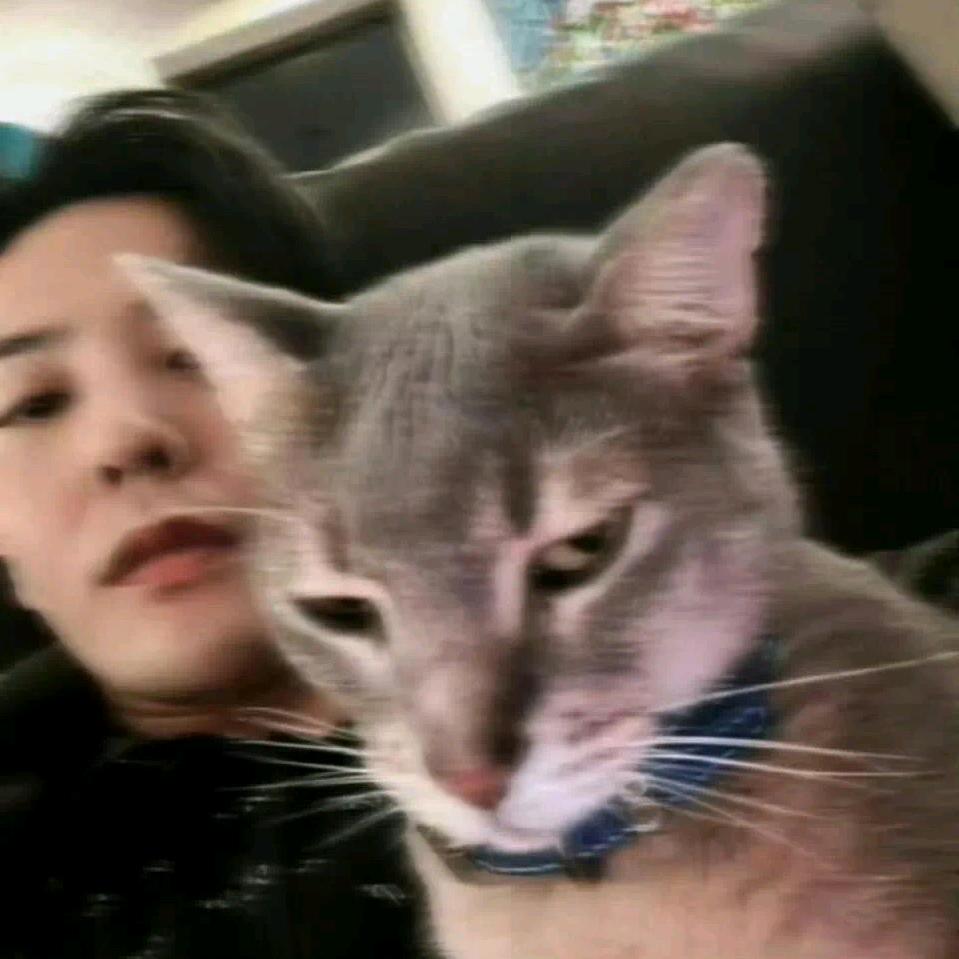 兔子我很嚣张