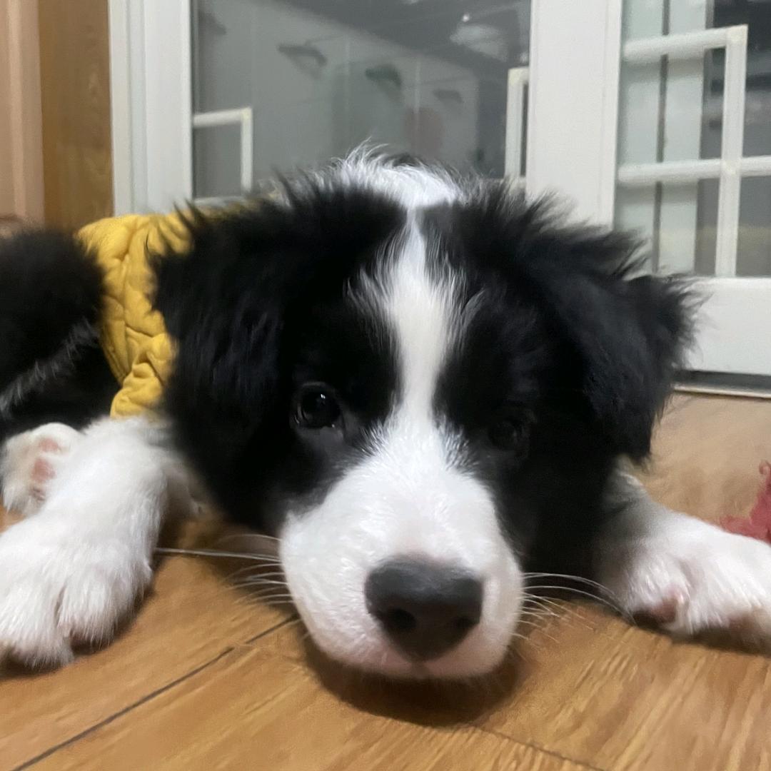 午夜探游