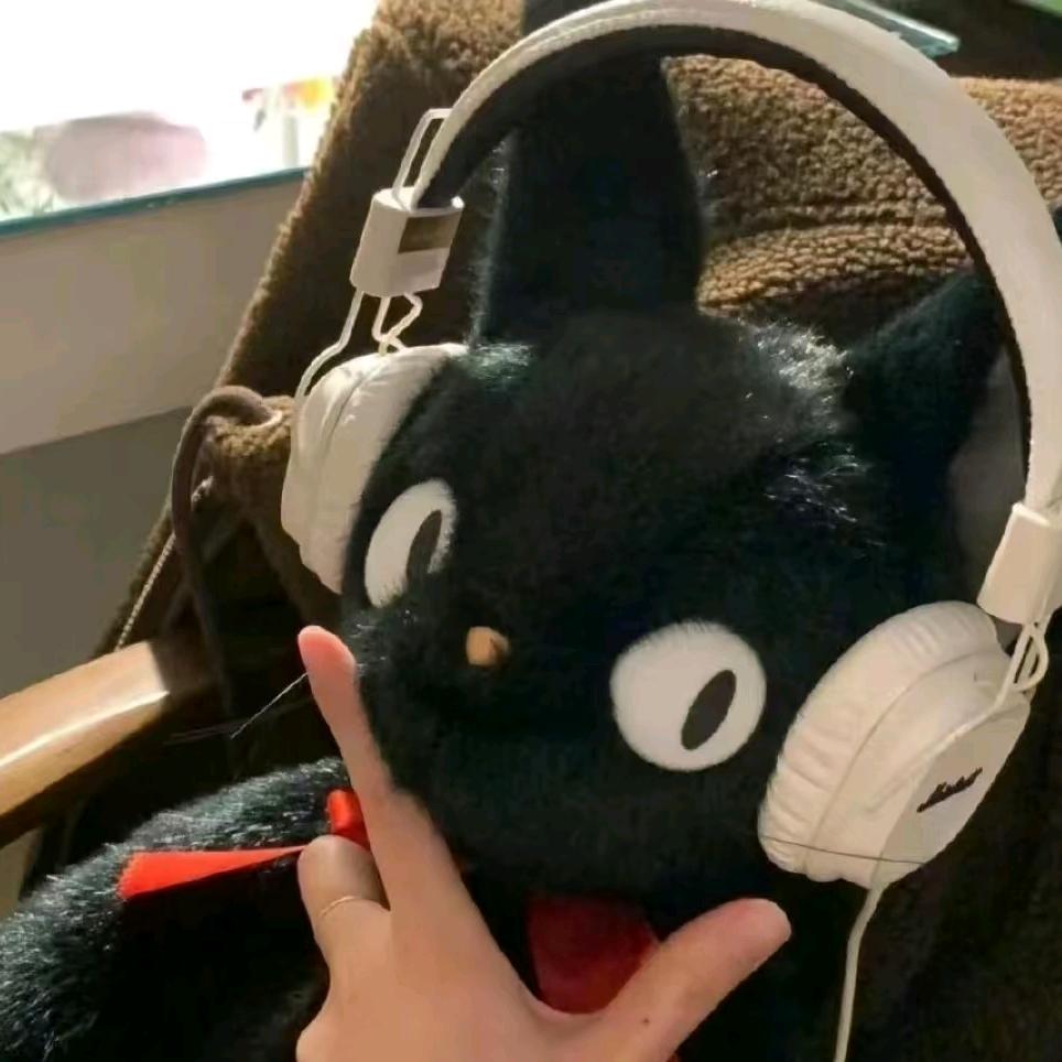 如愿是我（26考研）