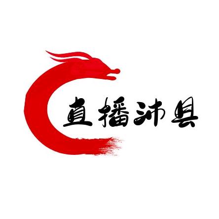 直播沛县