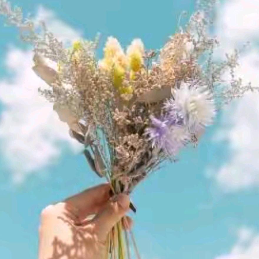 好看的花花