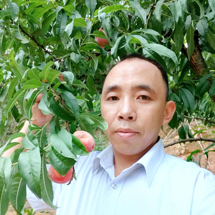 农村洪哥