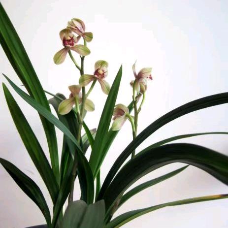 品质好货臻选店