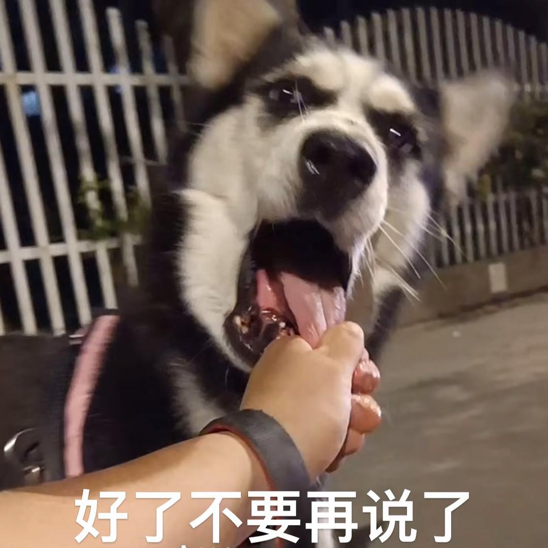 纯六子