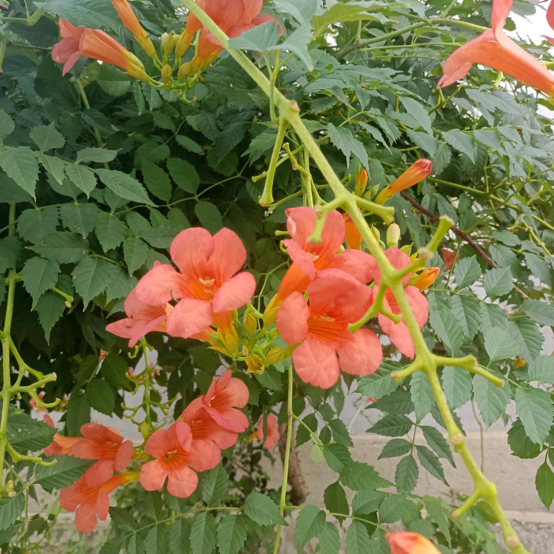 恨恨恨