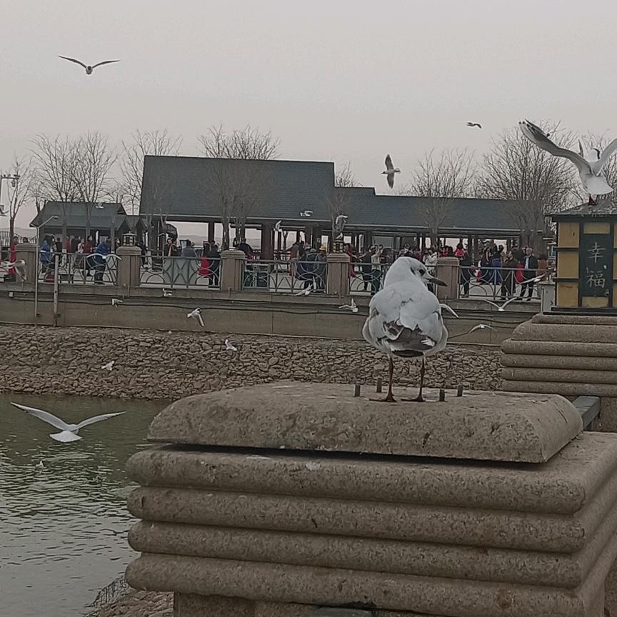 酷哥