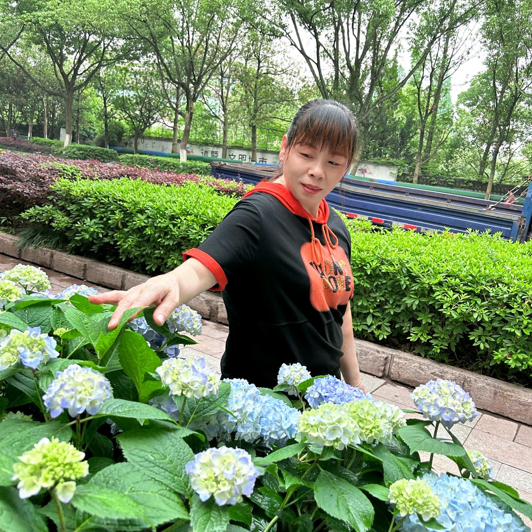 玫瑰花香🌹