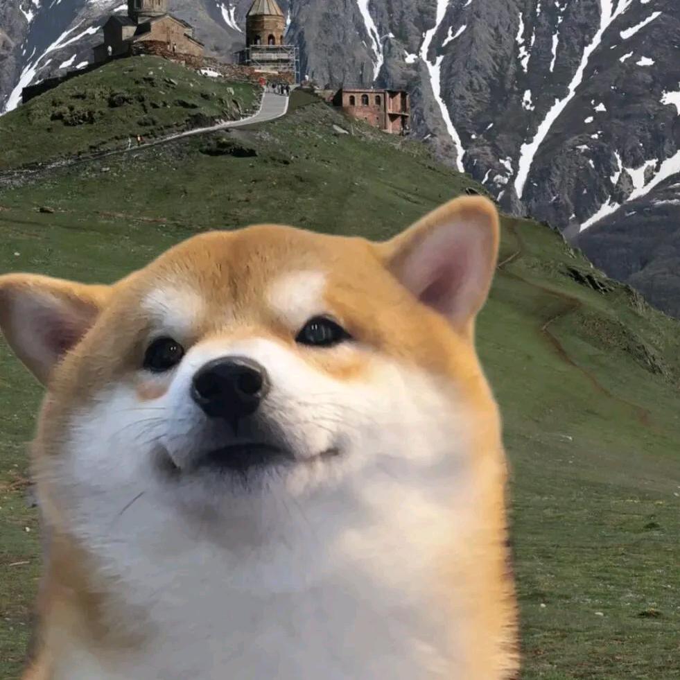 01缺亿点天赋（减脂ing）