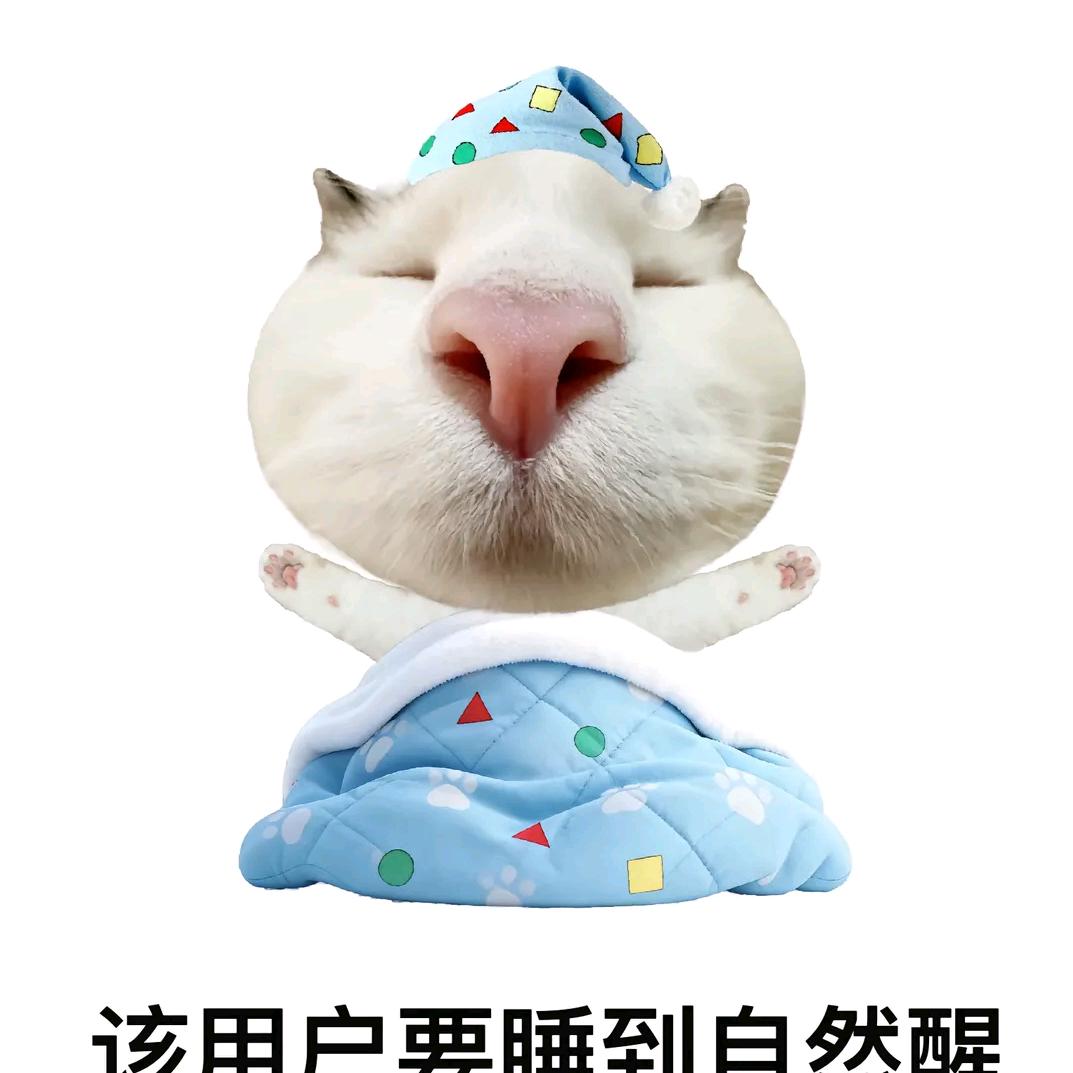 给我擦皮鞋
