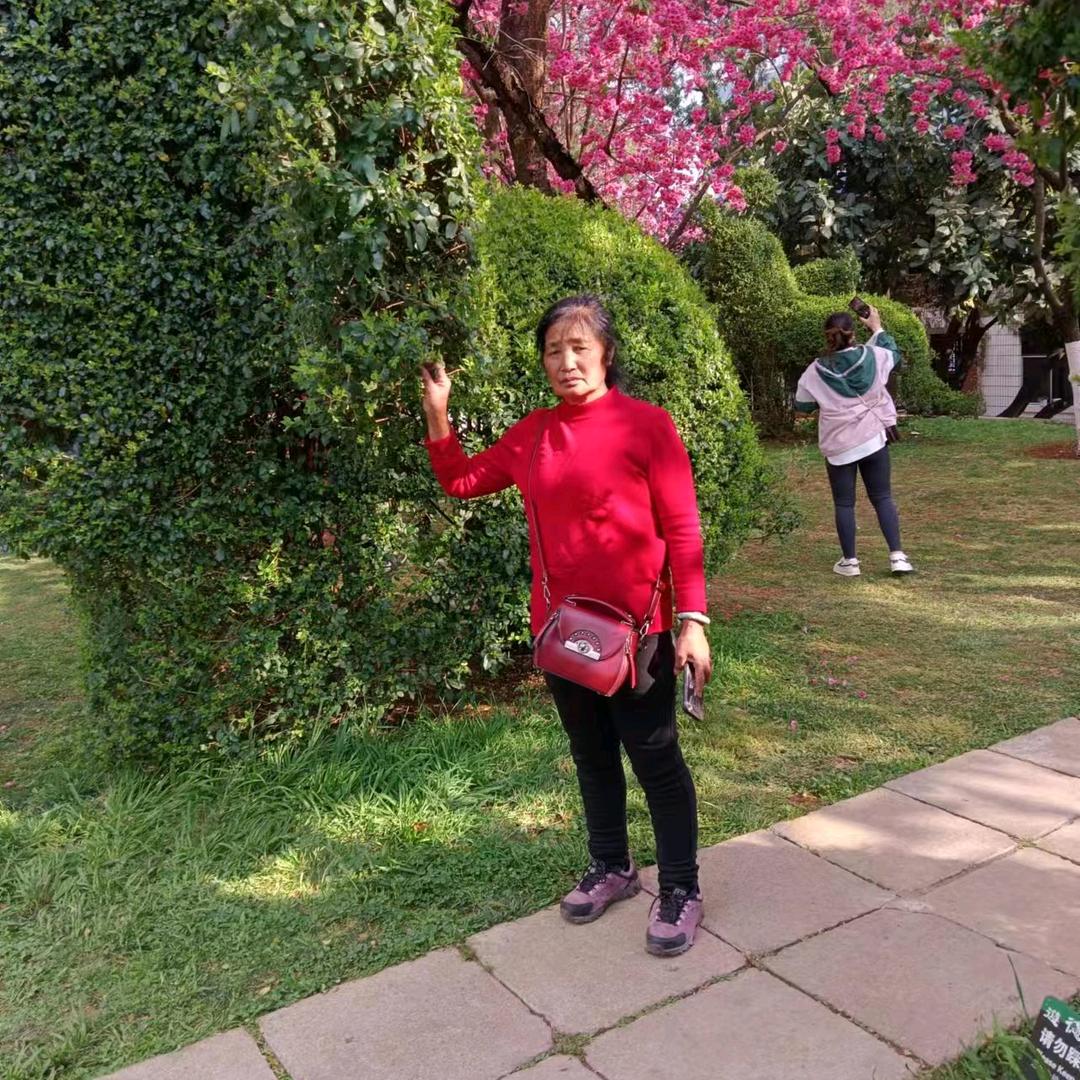 中国红，红中国