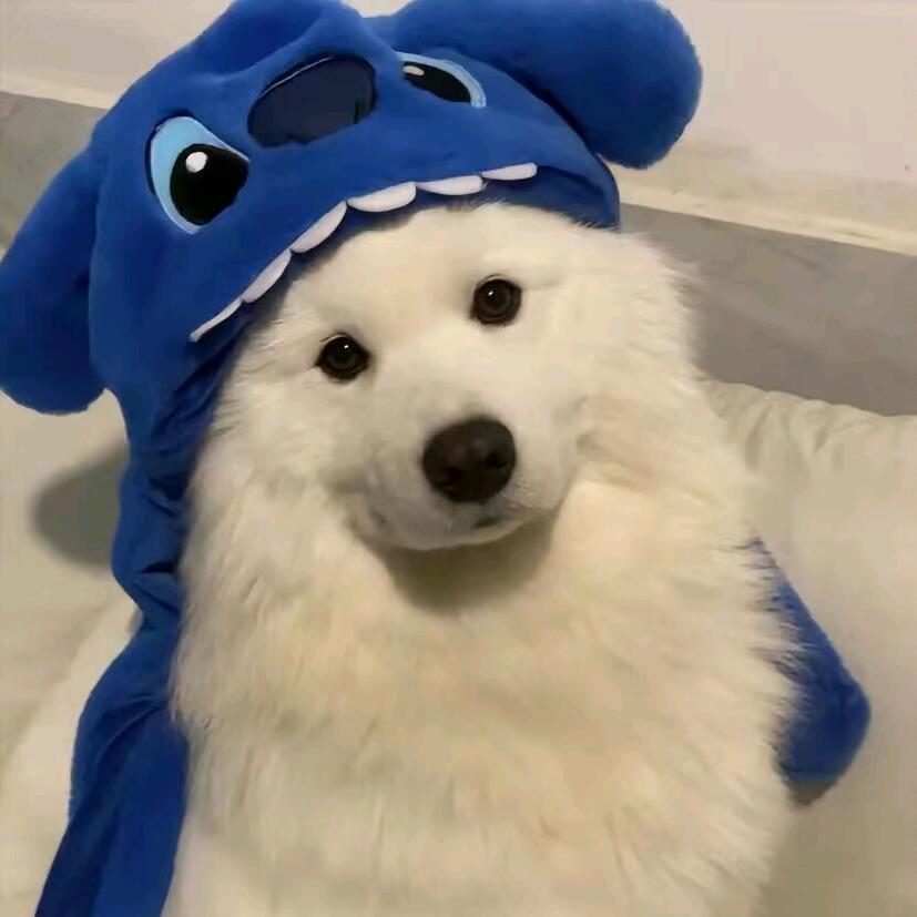 诠释爱
