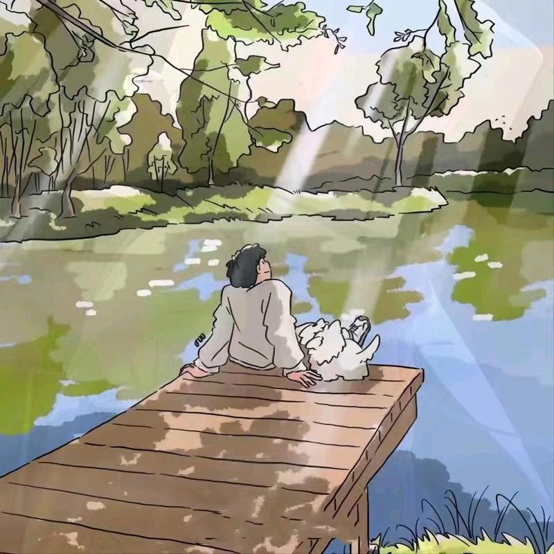 半壶纱