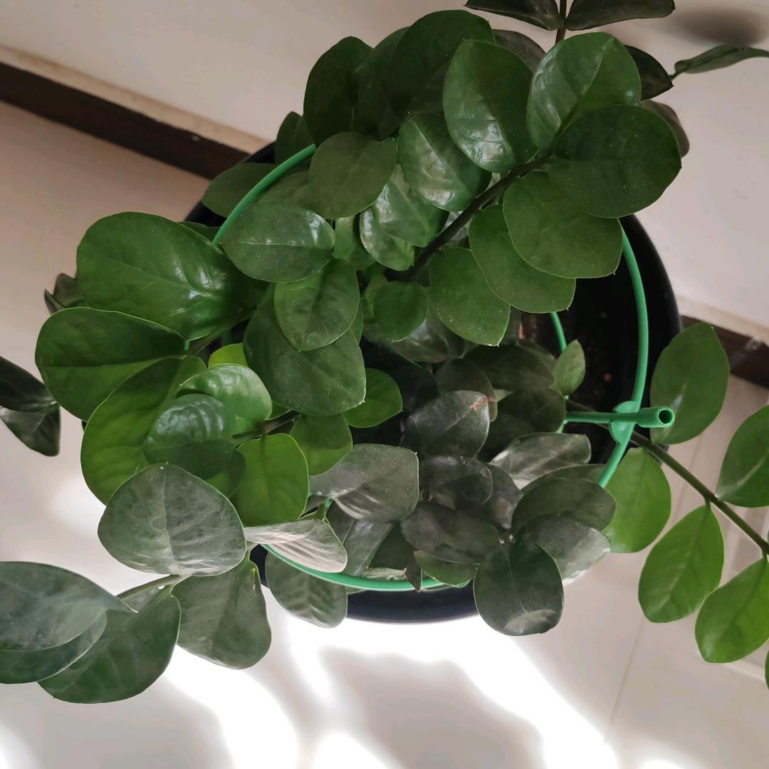 北极星好用百货分享