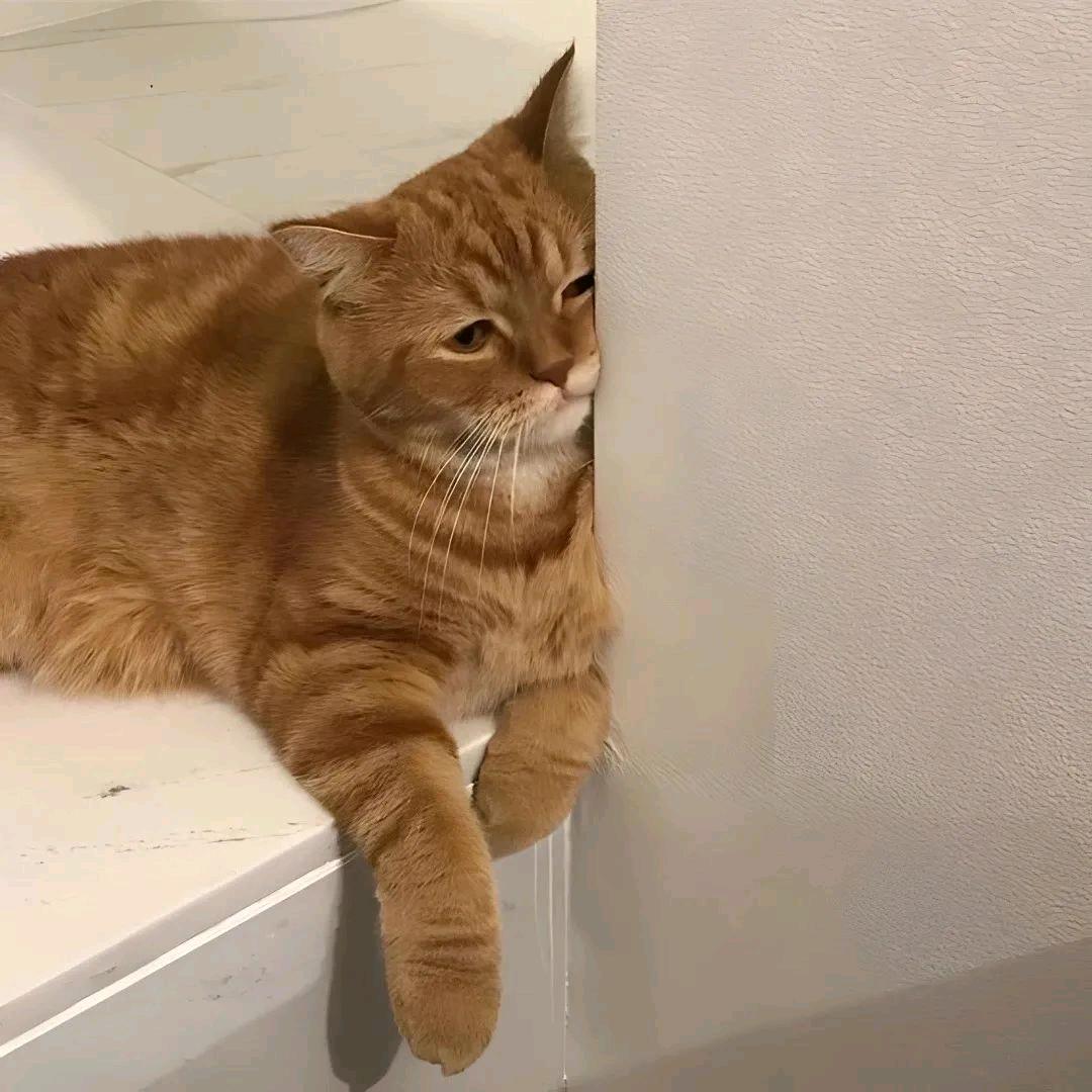林子逸