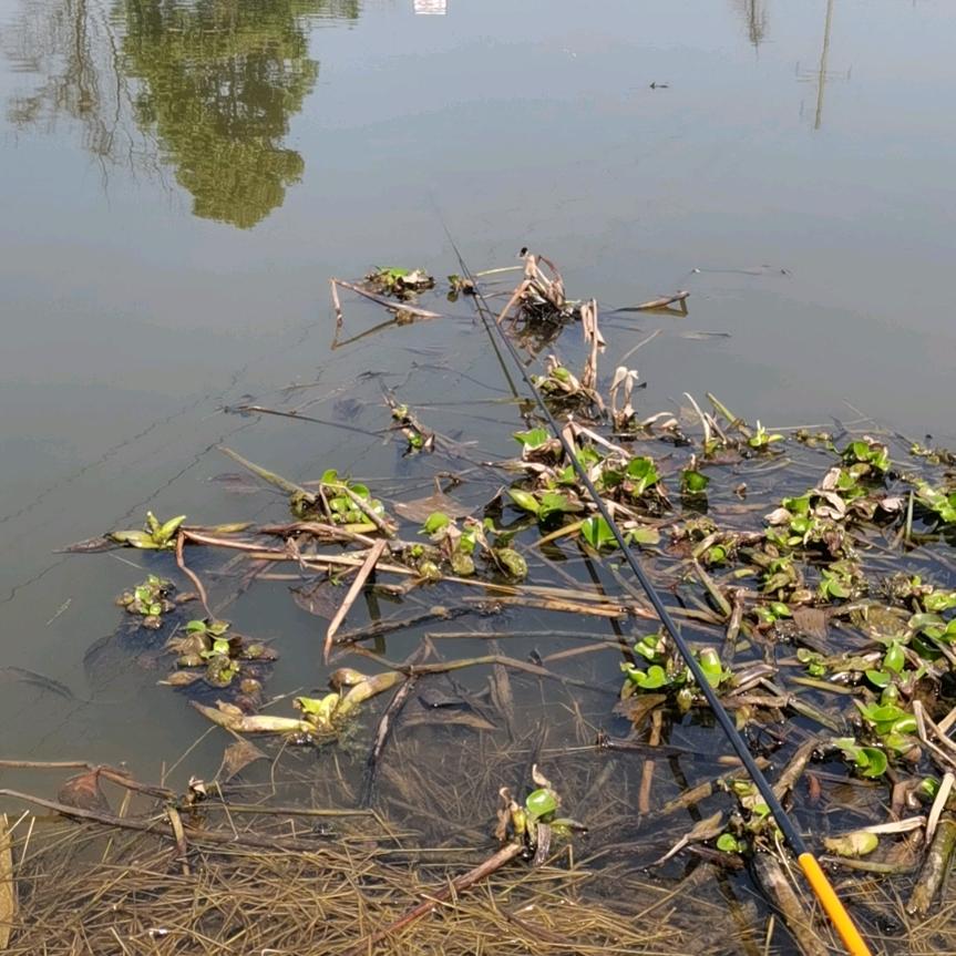 水上漂