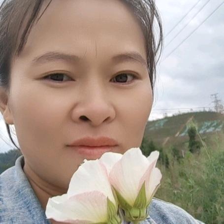 农村宝妈，野生山货收购和批发销售