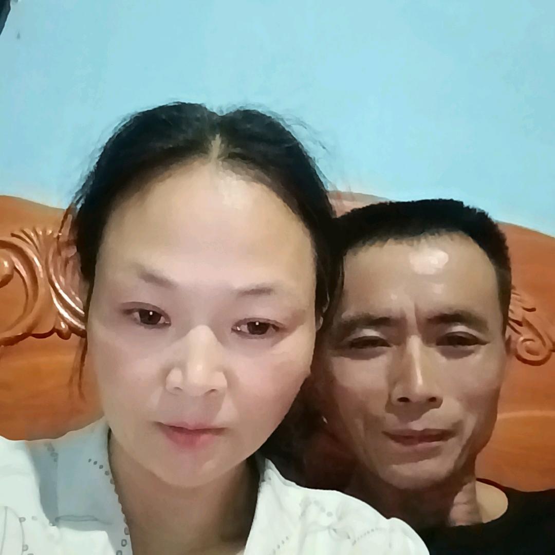 燕子。