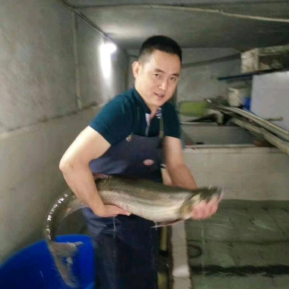 生态鱼专销处