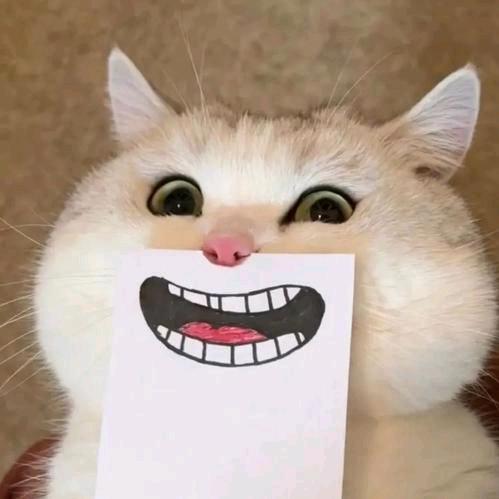 泉师水饮企业店