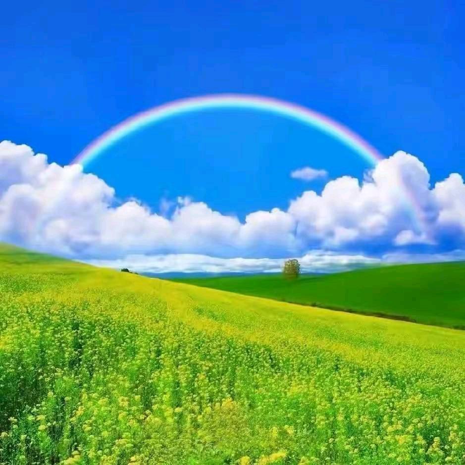 ღ᭄💞安稳随心꧔ꦿ᭄ 💞