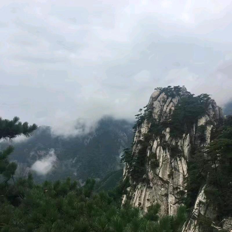 灿灿