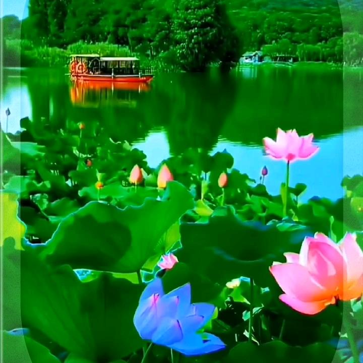有🌹你🌷真💐好🌹