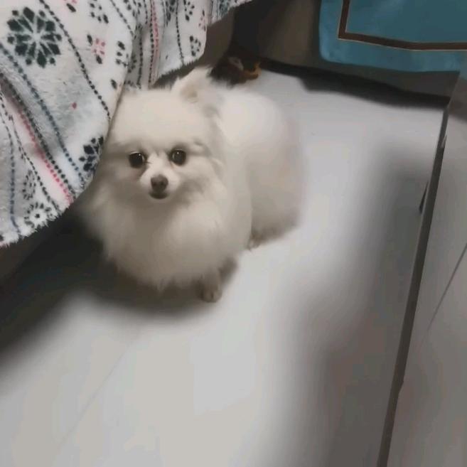 通讯录好友-