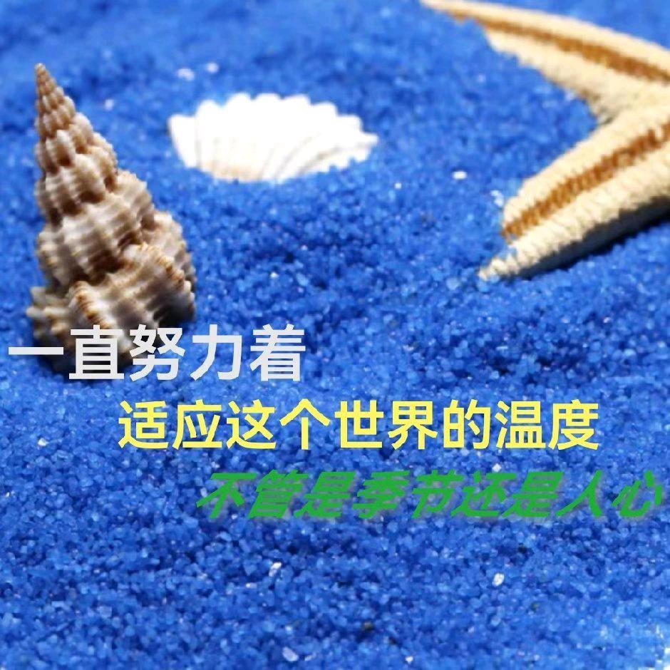 但愿人长久（橱窗有好物）