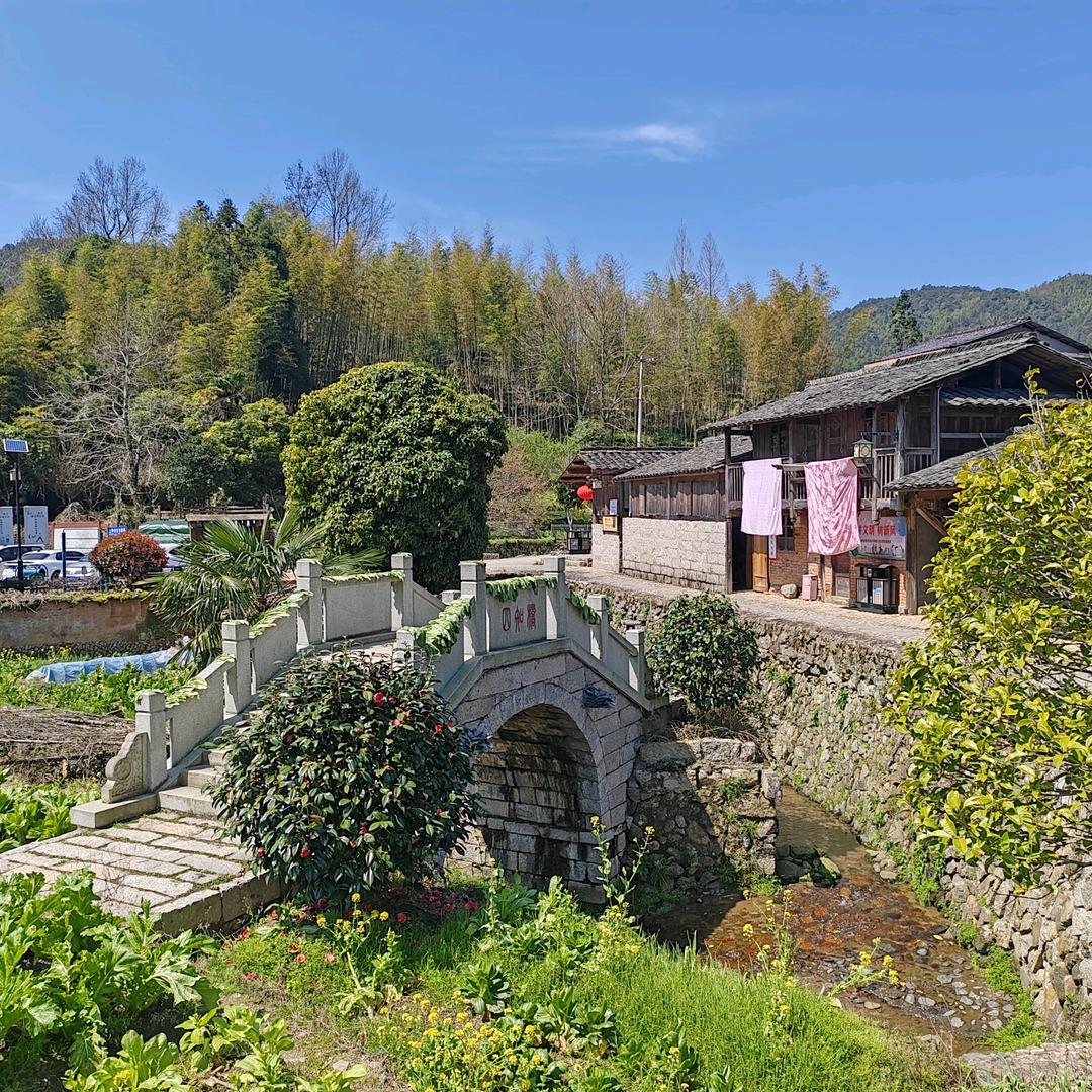 森第～直播返场好物的头像