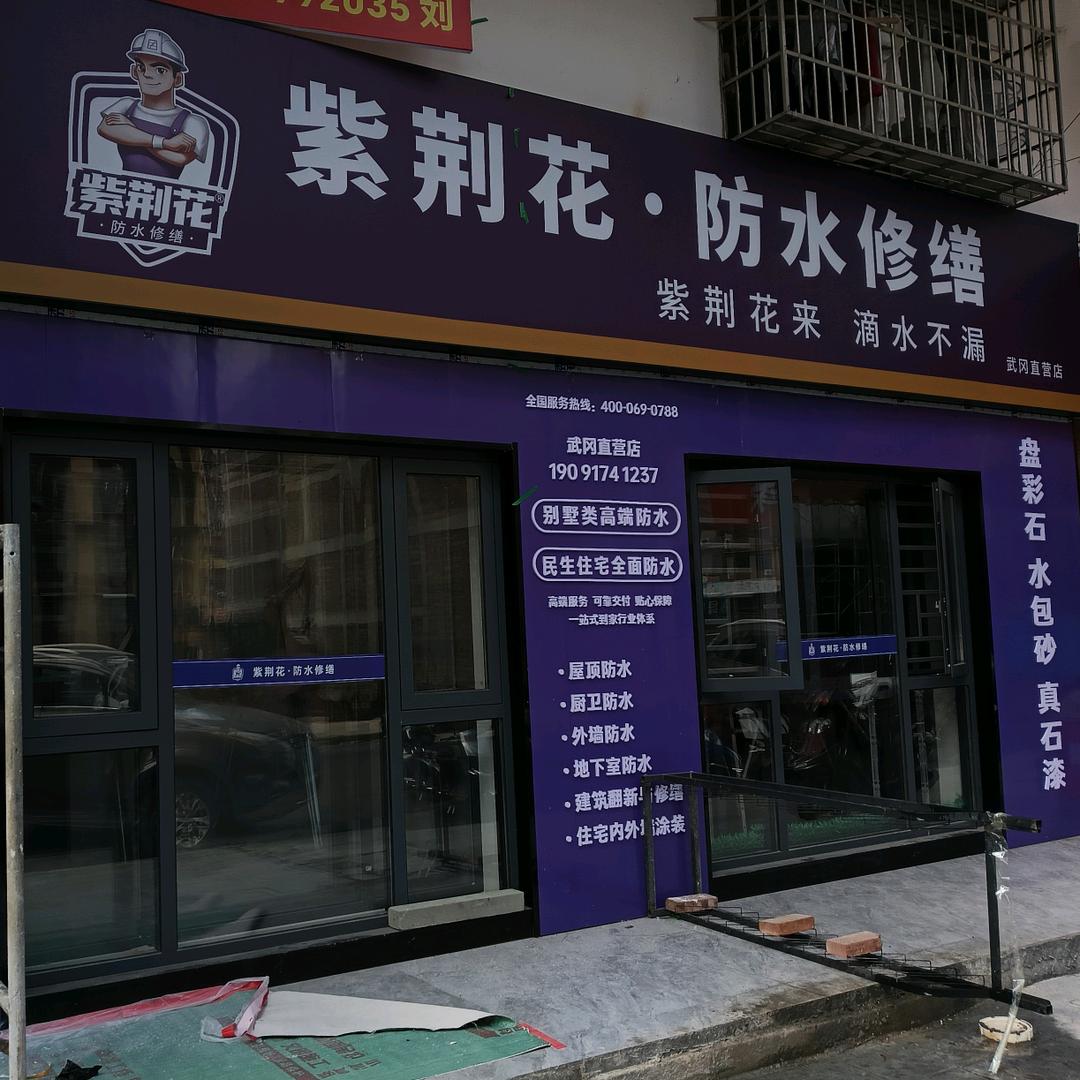 紫 荆 花外墙漆 190917412