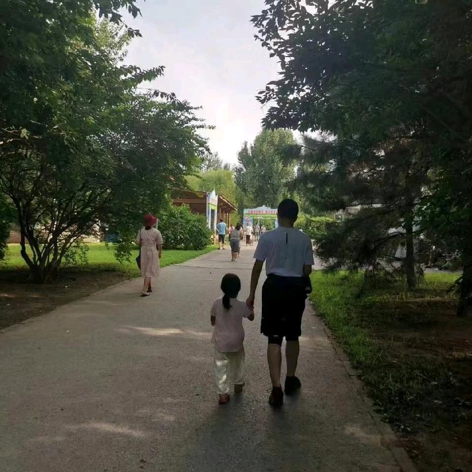 老晨林