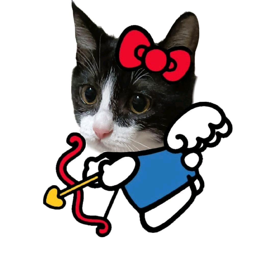 ᴵᵒᵛᵉ多多