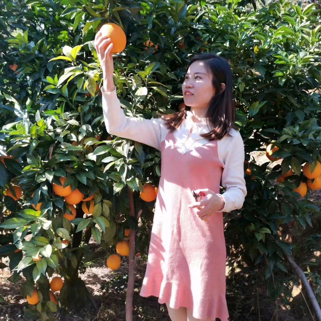 乡村丽文生活号