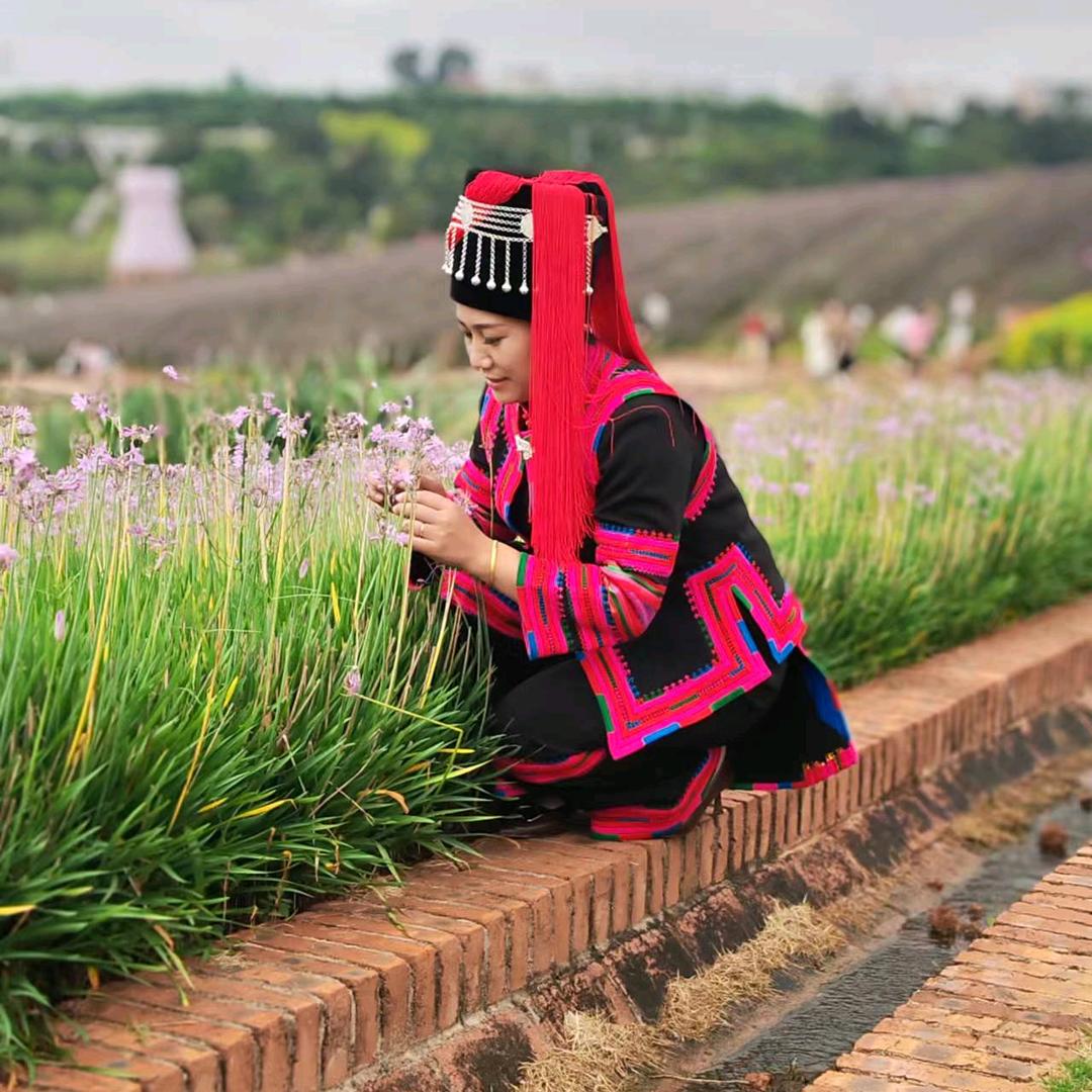 龙夫人，东城区幼儿园对面戈奎牛肉分店！！