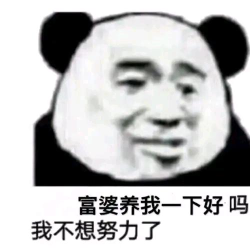 ꧁单身༈歌꧂