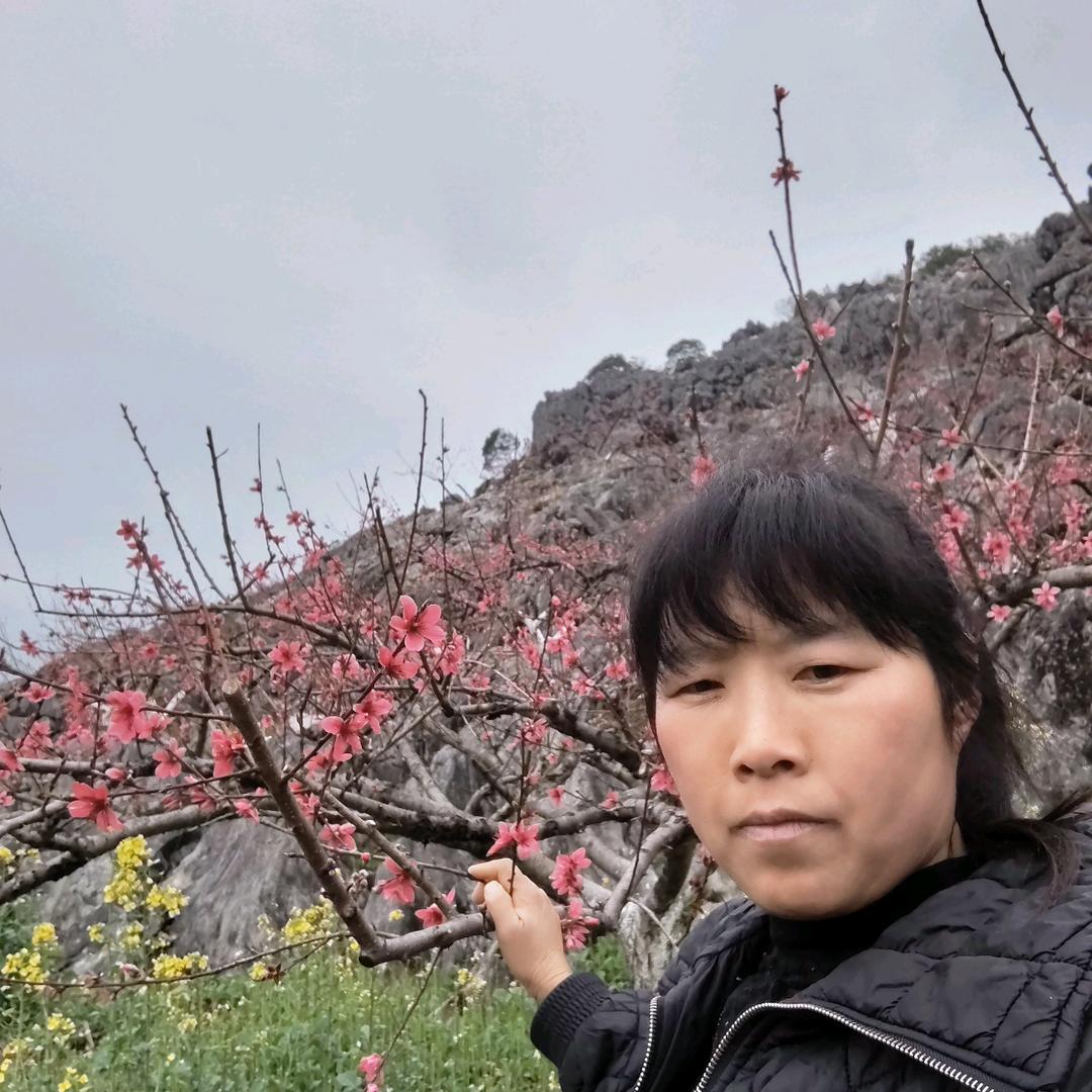 平淡人生