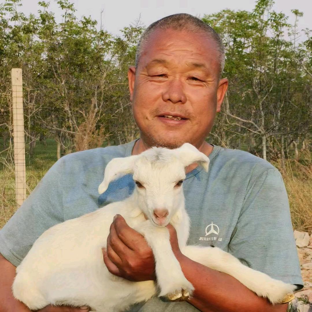 卡车人_老冯