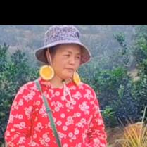 橙嫂农产品