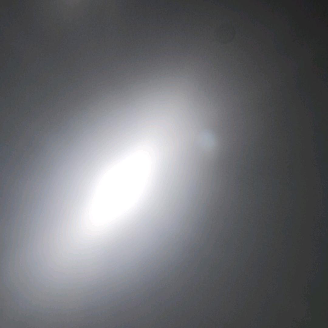 橙子
