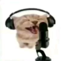 恬倾唱吧