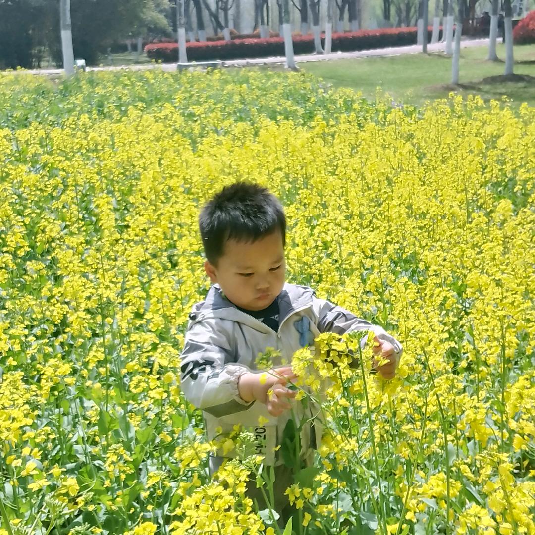 阳光就在风雨后