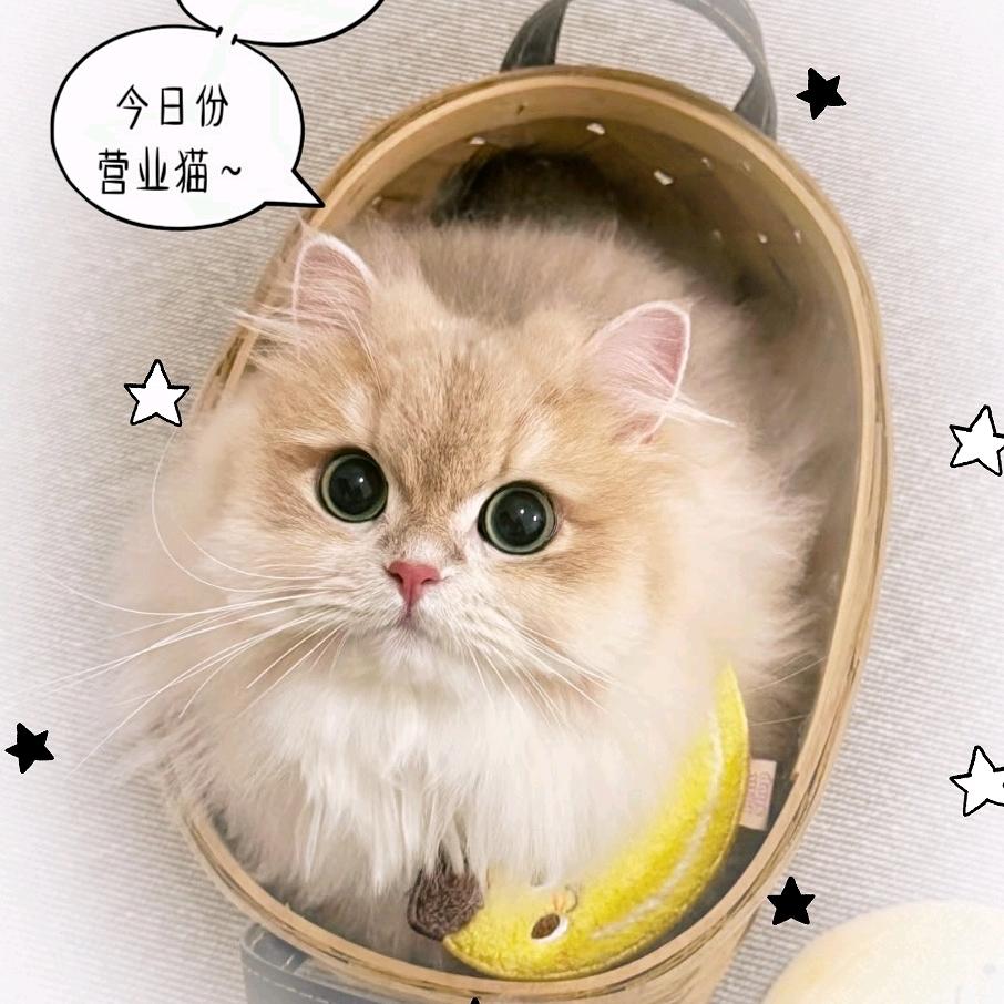 艳子红
