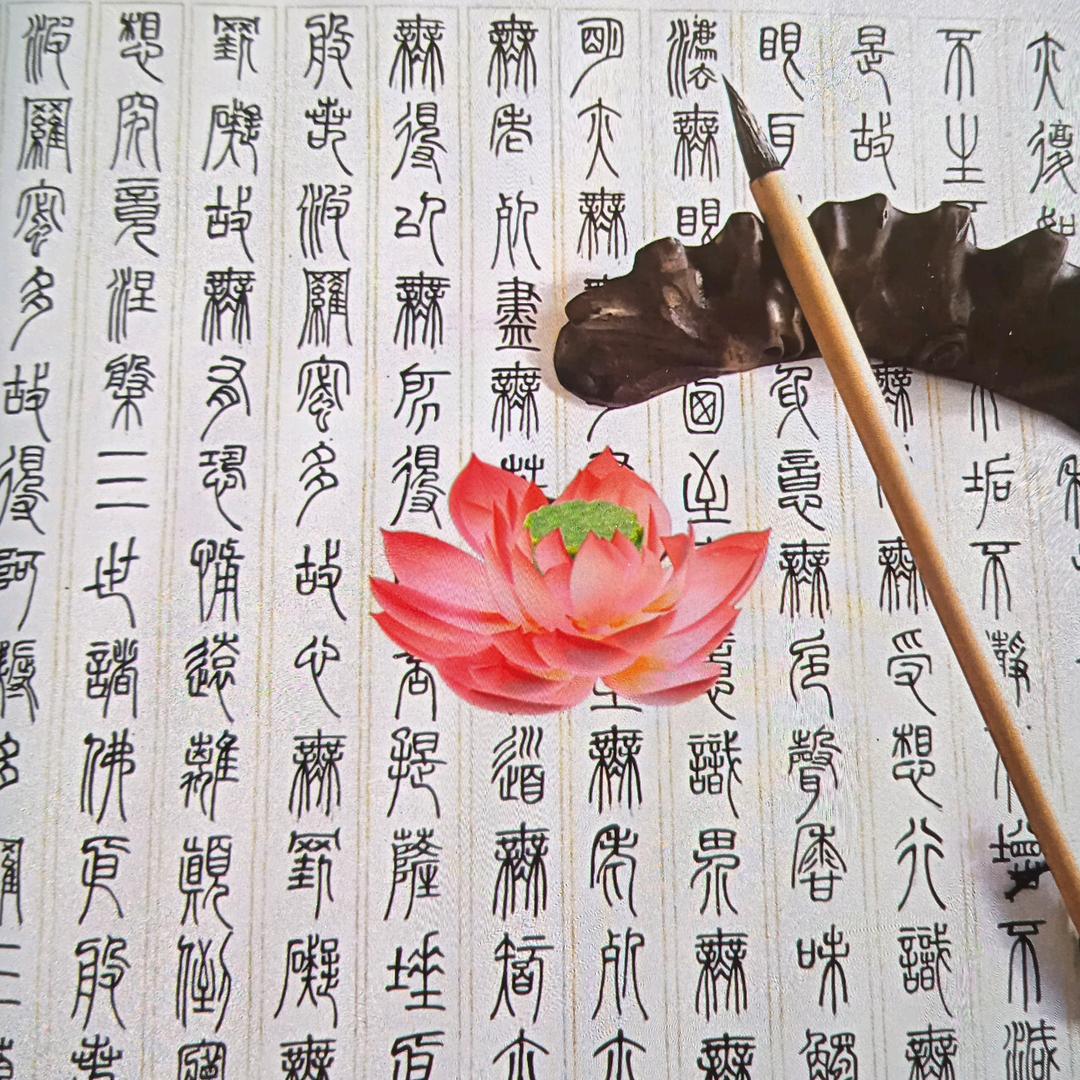 涵姐写字（首播早上9:10）